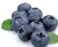 Bilberry Jigsaw Puzzles Screen Shot 3