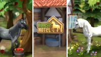 Horse Hotel - घोड़ों की देखभाल Screen Shot 7