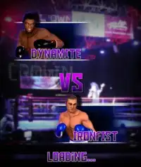 Ultimate Boxing Screen Shot 0