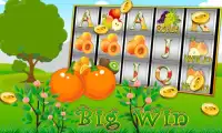 Fruit Mania Mega Casino Slots Screen Shot 0