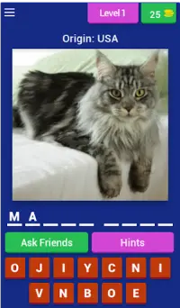 Cat Breed Quiz Game (Cat Game) Screen Shot 0
