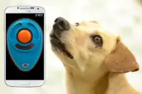 Clicker Training Dog Simulator Screen Shot 3