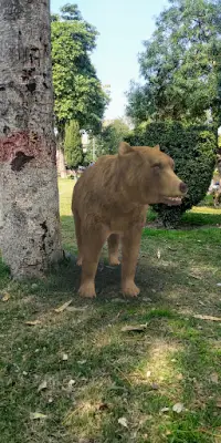 Augmented Reality - Bears in Real World Life Screen Shot 1