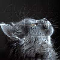 고양이 직소 퍼즐 🧩🐱🧩🐈🧩