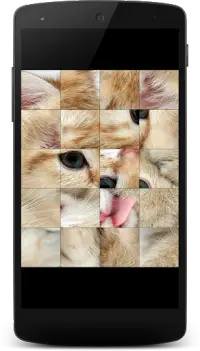เกมแมว ต่อจิ๊กซอว์ Screen Shot 3