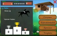 Horse Manager 2017 Screen Shot 3