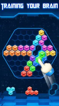 Block Puzzle Classic Hexagon Screen Shot 1
