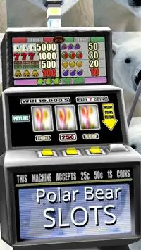 Polar Bear Slots - Free Screen Shot 2