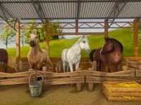 Real Horse World - Showjumping Screen Shot 9