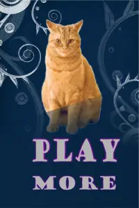 Cats Game: Memory Screen Shot 0