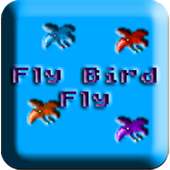 Fly Bird Fly