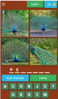 Birds Quiz Screen Shot 0