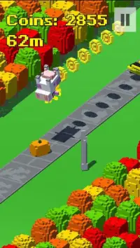 Voxel Pets Run Race Screen Shot 7