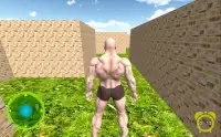 Maze Bricks 3D Screen Shot 3