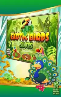 Exotic Birds Slots Screen Shot 16