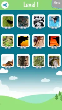 Guess Of Animals Screen Shot 3