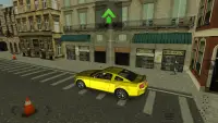 Car Driver Simulator Screen Shot 1