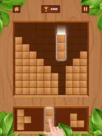Wood Block Game : Wooden block puzzle solve Screen Shot 9