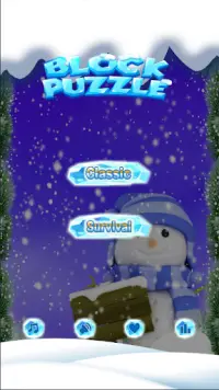 New Snow Block Puzzle 2020 Screen Shot 0