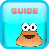 Guidance For Pou New