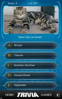 Name that Cat Breed Trivia Screen Shot 0