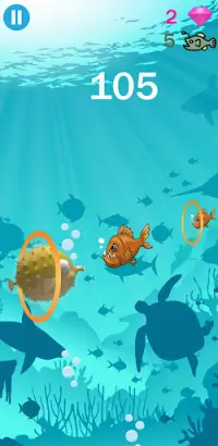 Save The Fancy Fish 3D Screen Shot 3