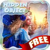 Hidden Object - Frost Fairies