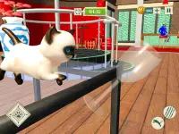 Meow Kitty - Idle Cat Simulator Vs Rat Simulator Screen Shot 9