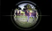 động vật rừng săn bắn Screen Shot 3