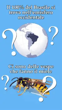 Vero o Falso Quiz in Italiano Screen Shot 5