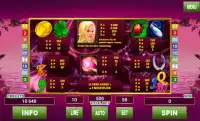 Lucky Lady Deluxe Slots Screen Shot 3