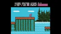 Guide Ninja Gaiden Screen Shot 2