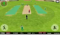 Cricket League 2020 - GCL Cricket Game Screen Shot 4