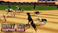 Crazy Dogs Racing Bunny Hunter : Greyhound Dog Sim Screen Shot 3