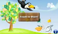 Birds Puzzles for Toddlers ! Screen Shot 0