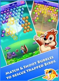 Bubble Shooter Birds Rescue Screen Shot 0