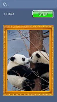 Homescape Puzzle - Panda Jigsaw Screen Shot 5