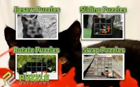Free Black Cat Puzzles Screen Shot 2