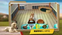 Dog Hotel プレミアム – 可愛い犬たちと遊ぼう Screen Shot 6