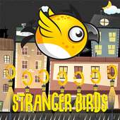 Stranger Birds