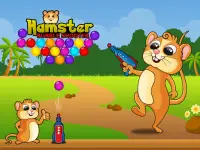 Hamster Bubble Shooter Screen Shot 1