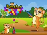 Hamster bubble shooter Screen Shot 1