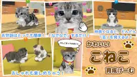 ねこ育成ゲーム - 完全無料！子猫をのんびり育てるアプリ！かわいいねこゲーム！ Screen Shot 0