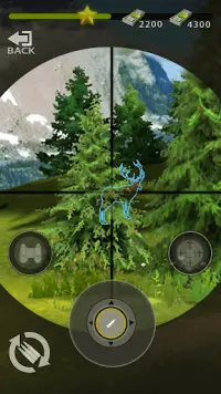 Wilderness Hunting：Shooting Prey Game Screen Shot 0
