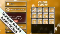 Colour Sudoku Puzzler Screen Shot 1