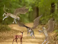 Flying Cheetah Wild Sim Screen Shot 2