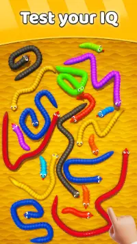 Tangled Snakes Puzzle Game Screen Shot 5