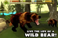 Wildlife Simulator: Bear Screen Shot 0