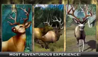 White Tail Deer Hunting 2016 Screen Shot 11