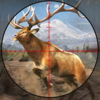 Deer Hunt 2020 : Safari Hunting - Free Gun Games